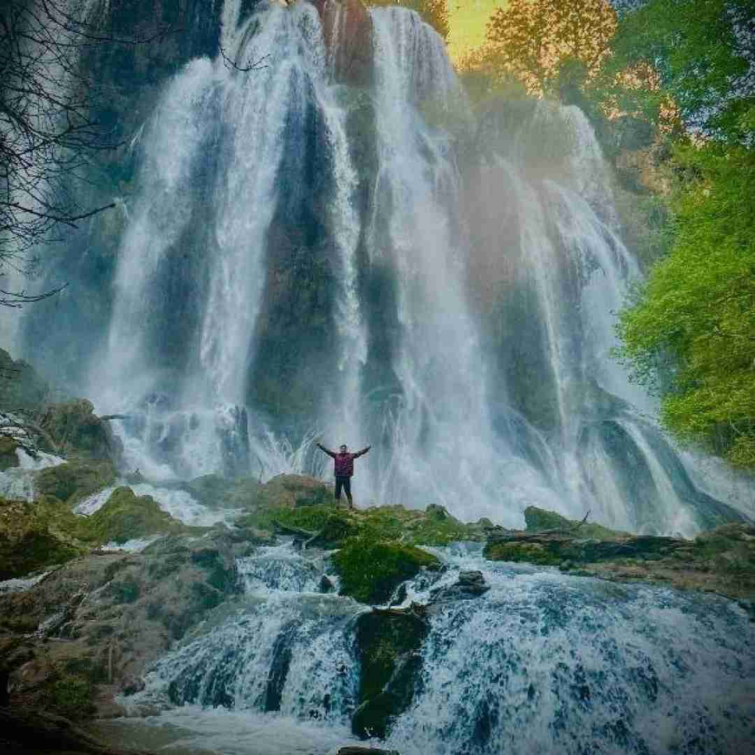 پری زنگنه خواب درخت