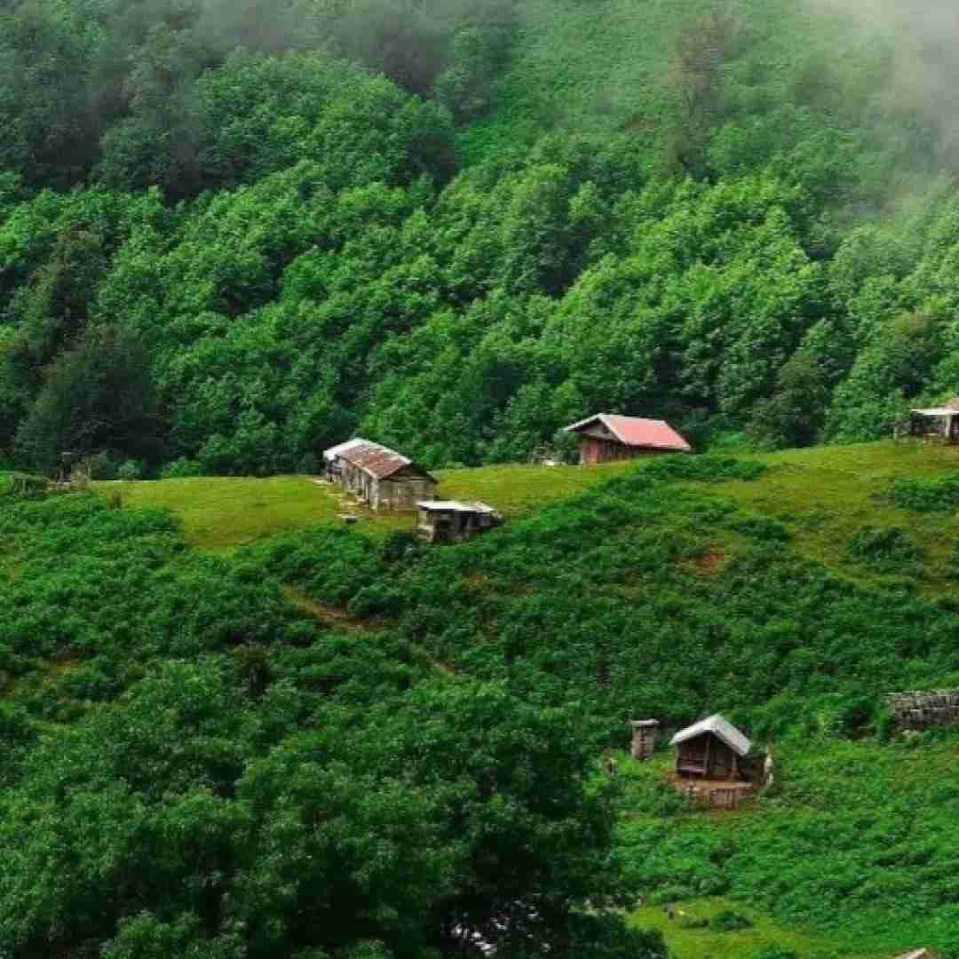 پری زنگنه سلام بر آفتاب