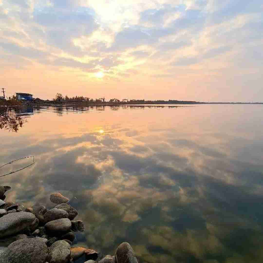پری زنگنه آی لیلی