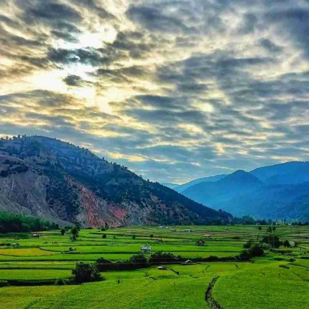 پری زنگنه دختر بویر احمدی