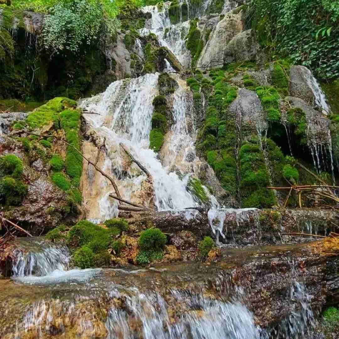 پری زنگنه لاله عباس