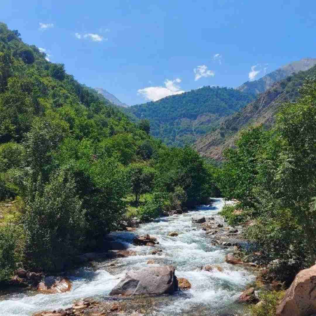 مریم ابراهیم پور آی دل پاشو بگذر