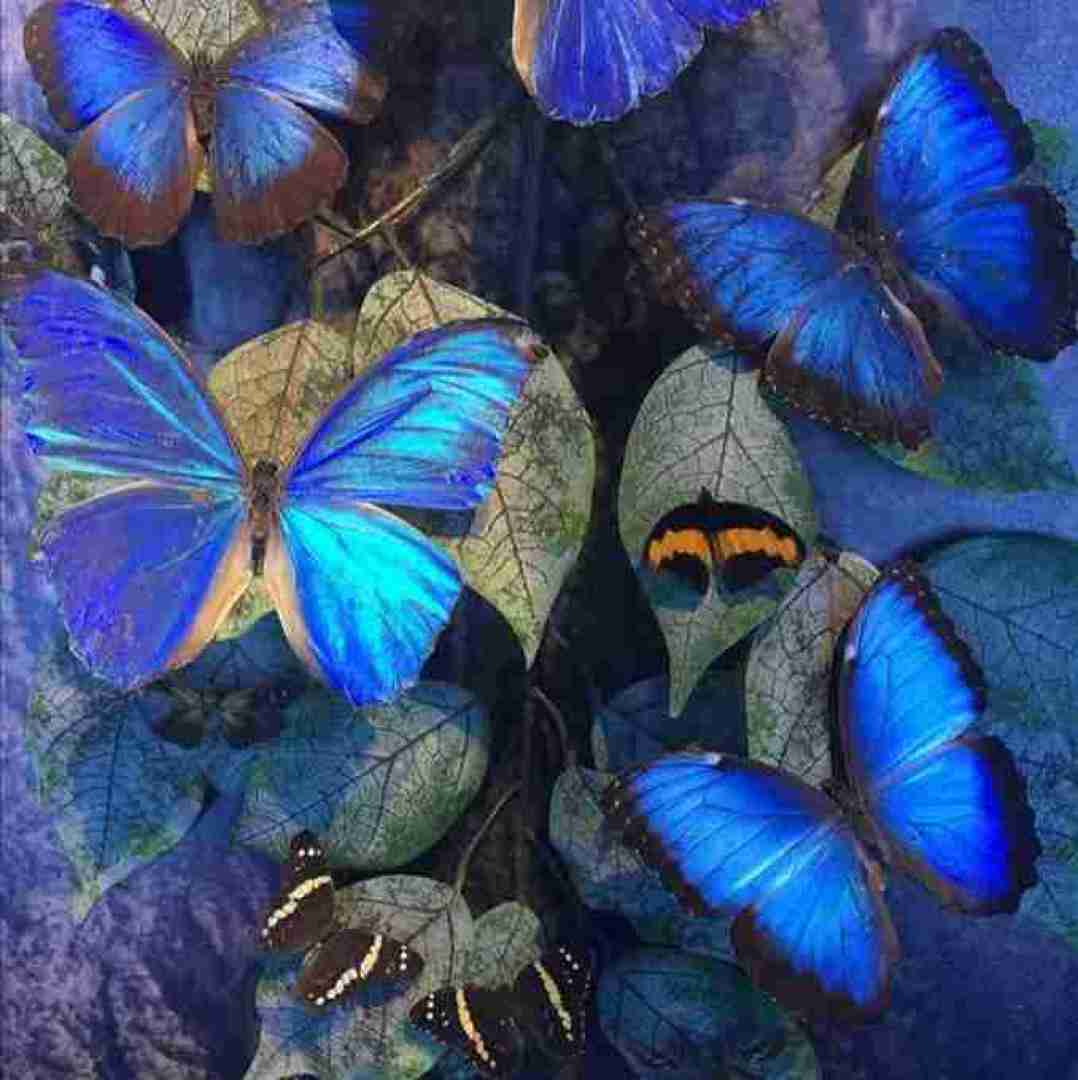  غروب اثری از محمدرضا مقدم با صدای امید و زنده یاد بانو هایده