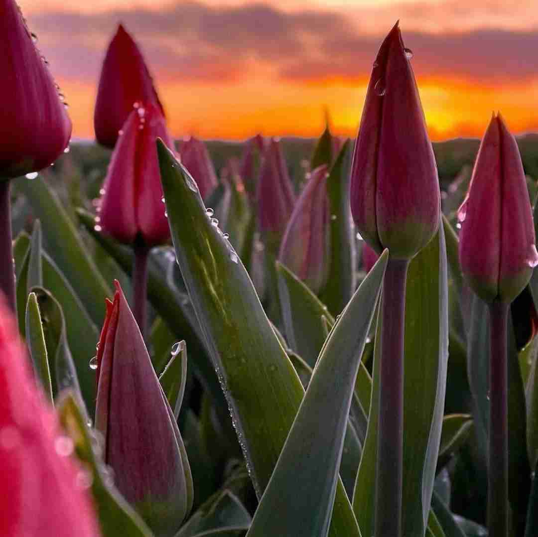  روحم از تو تنم میره بیرون