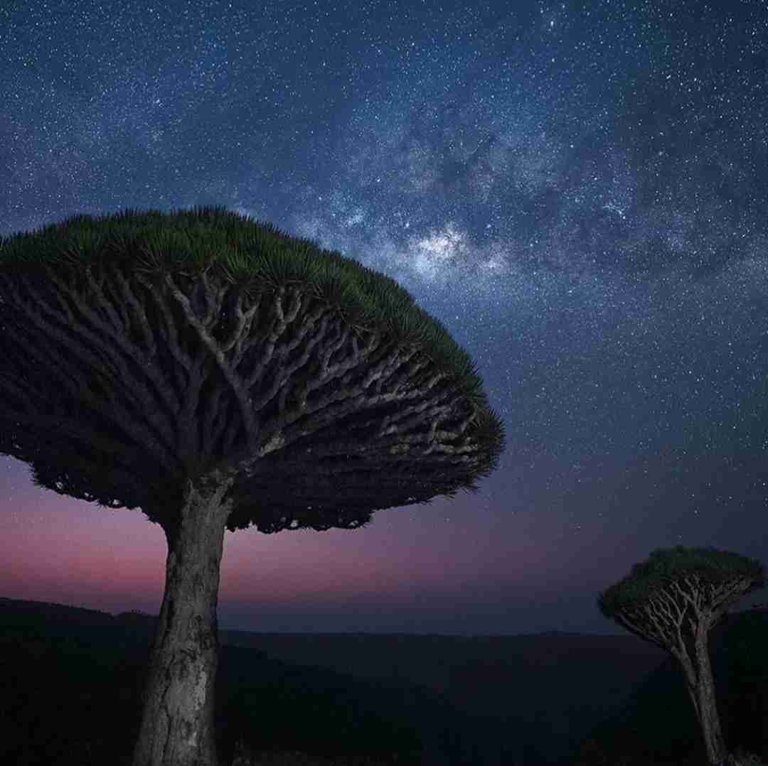 دیارا یار عزیزوم بی مو جر کرده