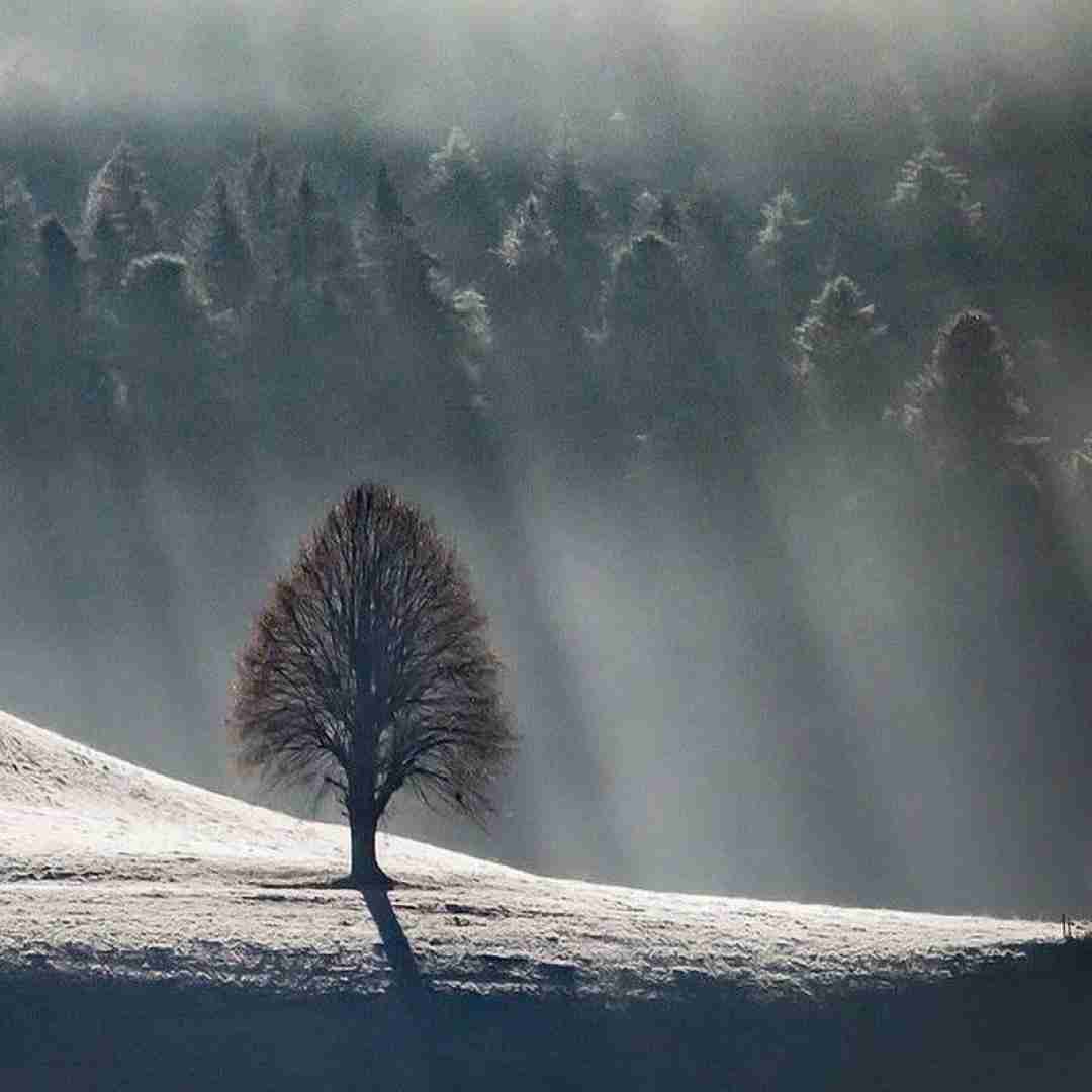  ماشالا ماشالا بیبی تازه شده بیست و چهار