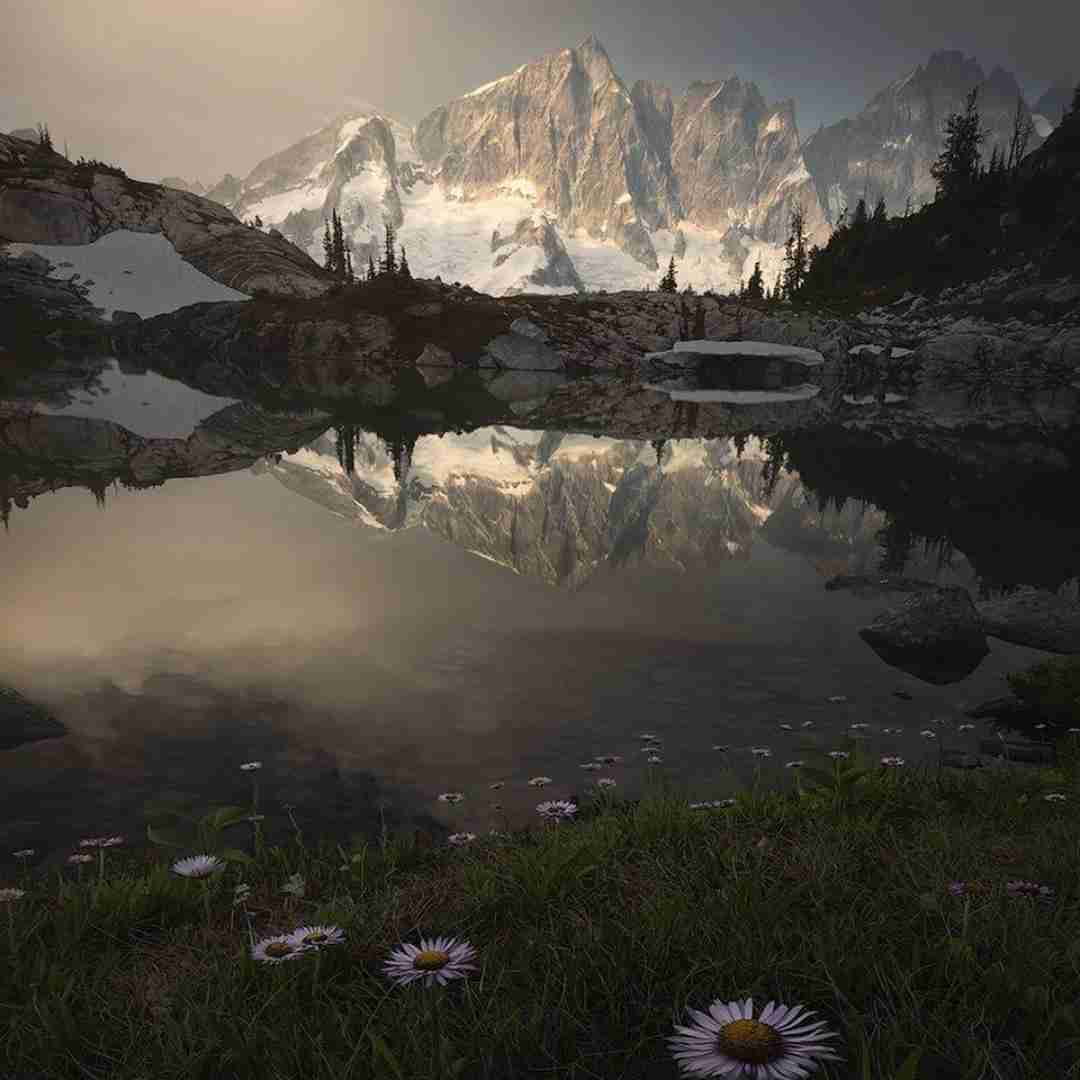 سنگ فرش خیابونارو گل کردم برات هوش مصنوعی