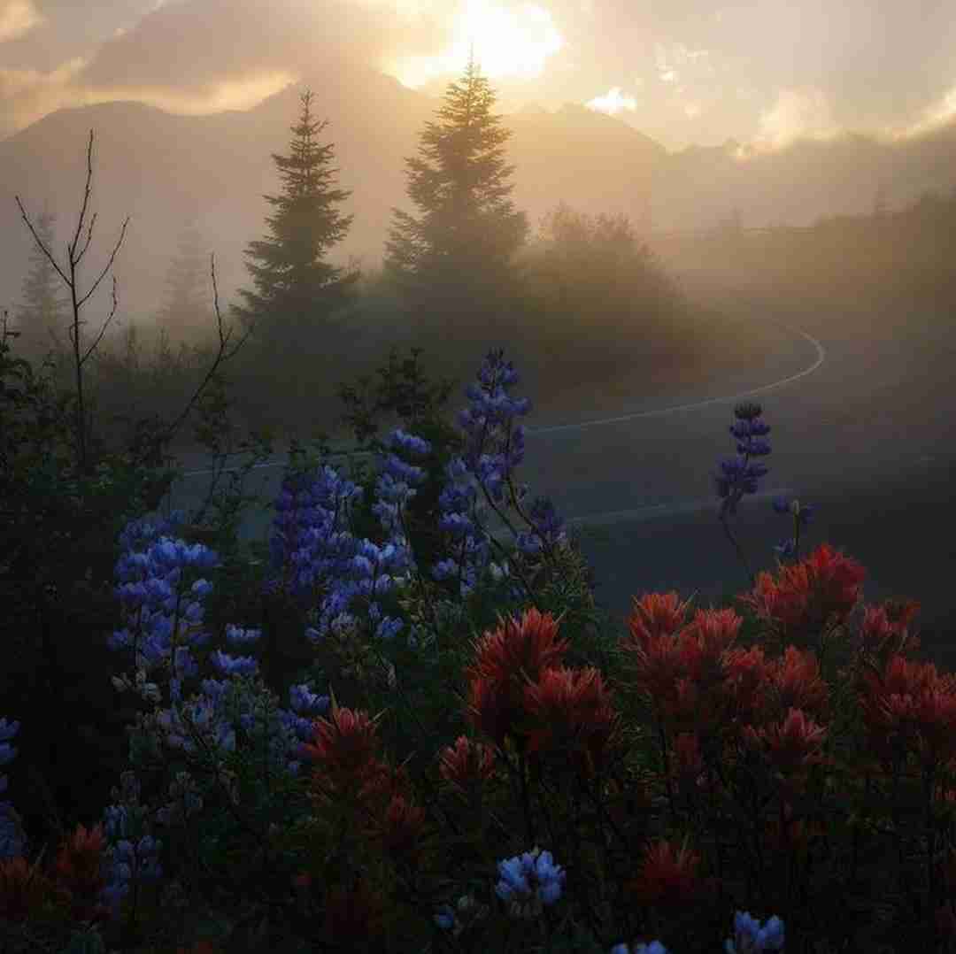  عاشق به دلبرش میگفت ای جان شیرین ما