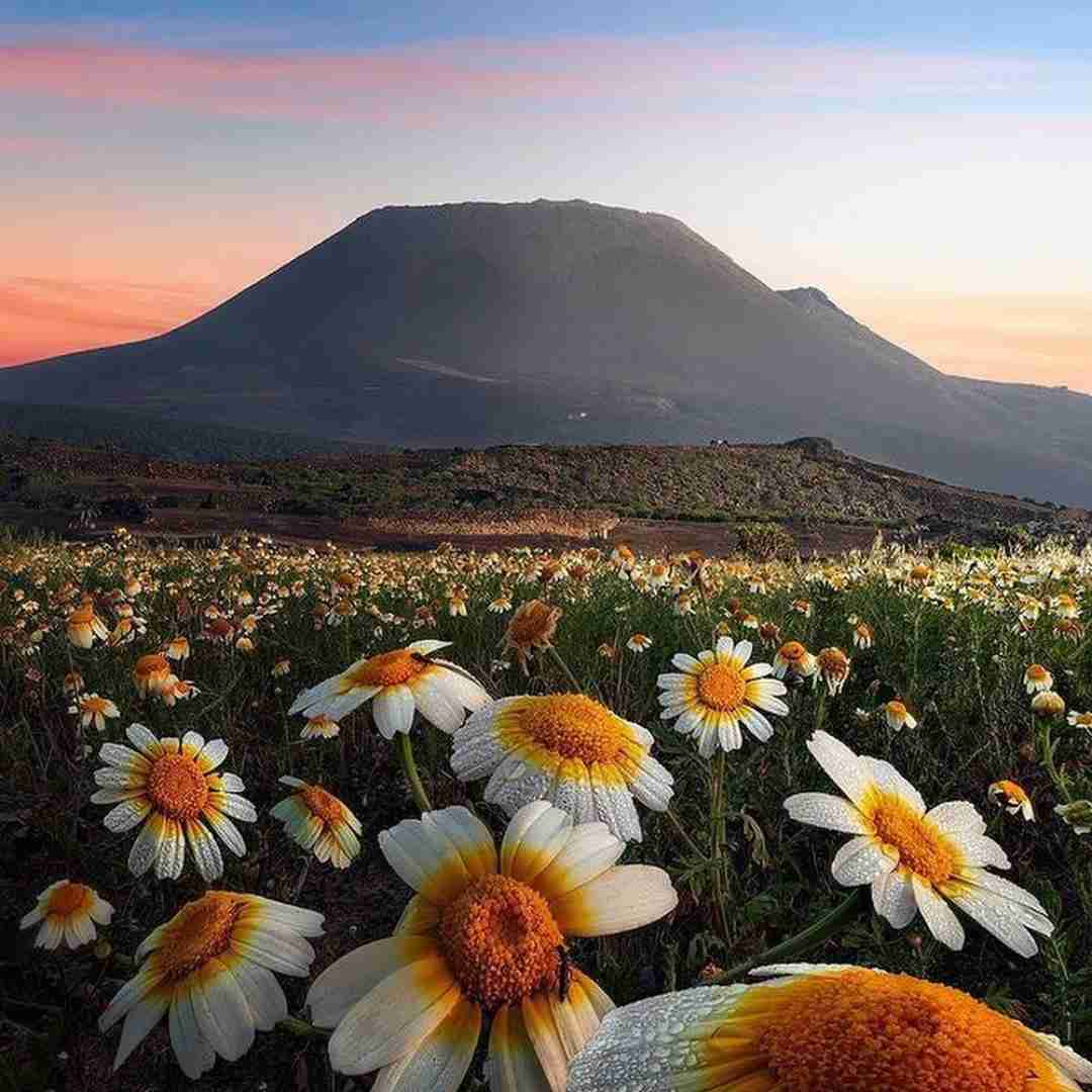  نگو هنوز همونی کردی تو یه کارایی