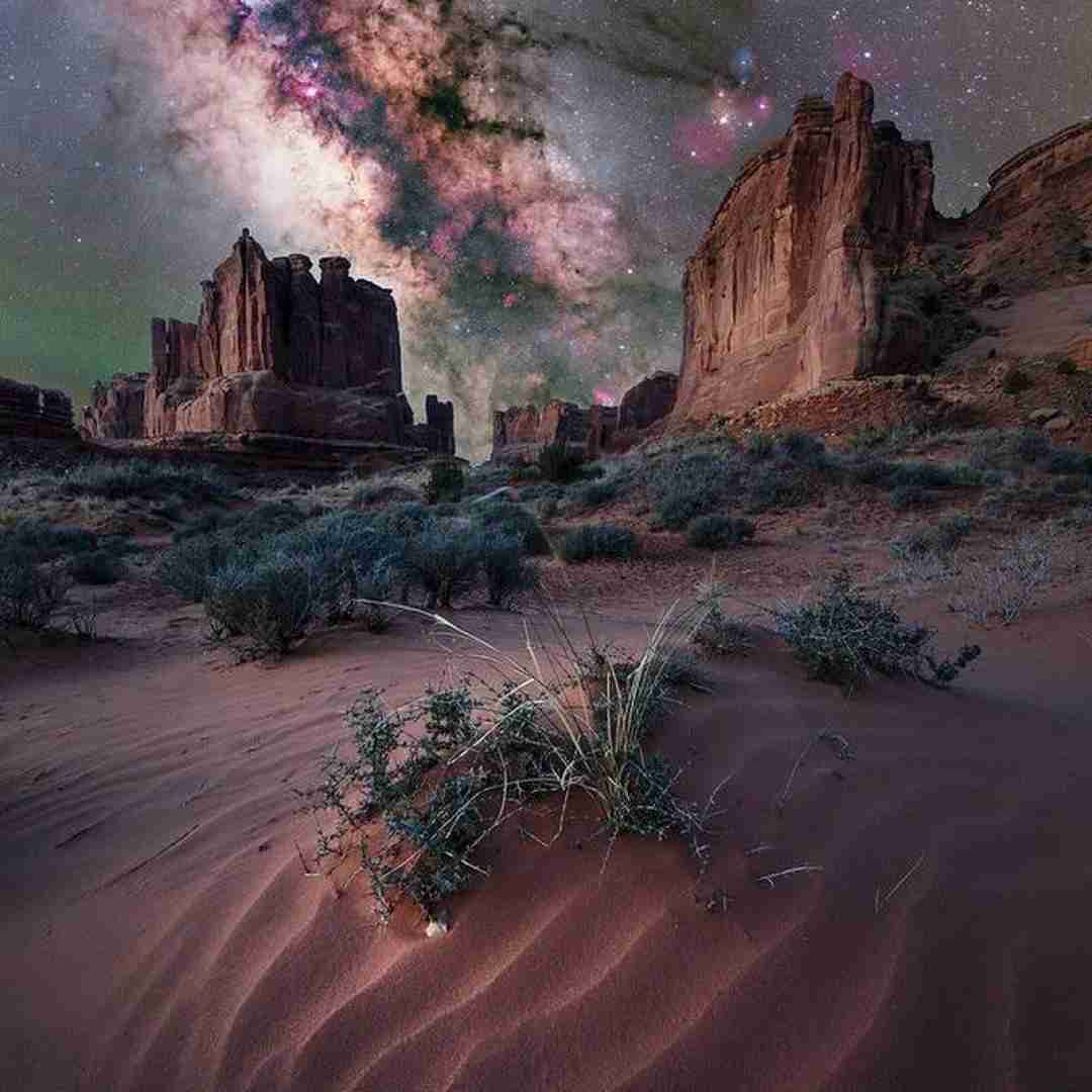  دوستت که آوردی چقدر لوسه