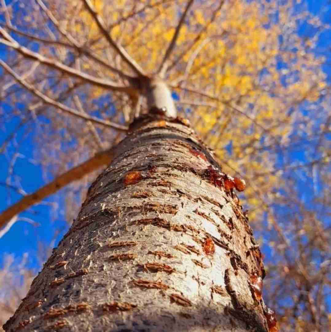  با خودم میگم نکن تهش خیلی برات بده