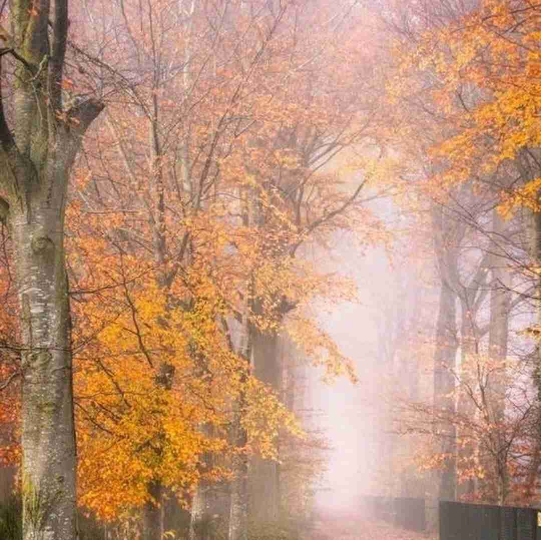 فاطمه عطایی بیا برگرد