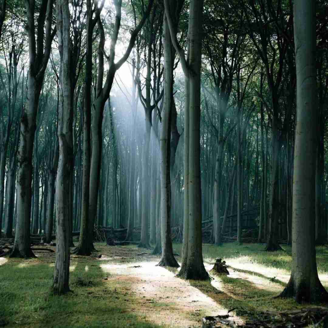  دو روزه شدم هشت کیلو لاغر