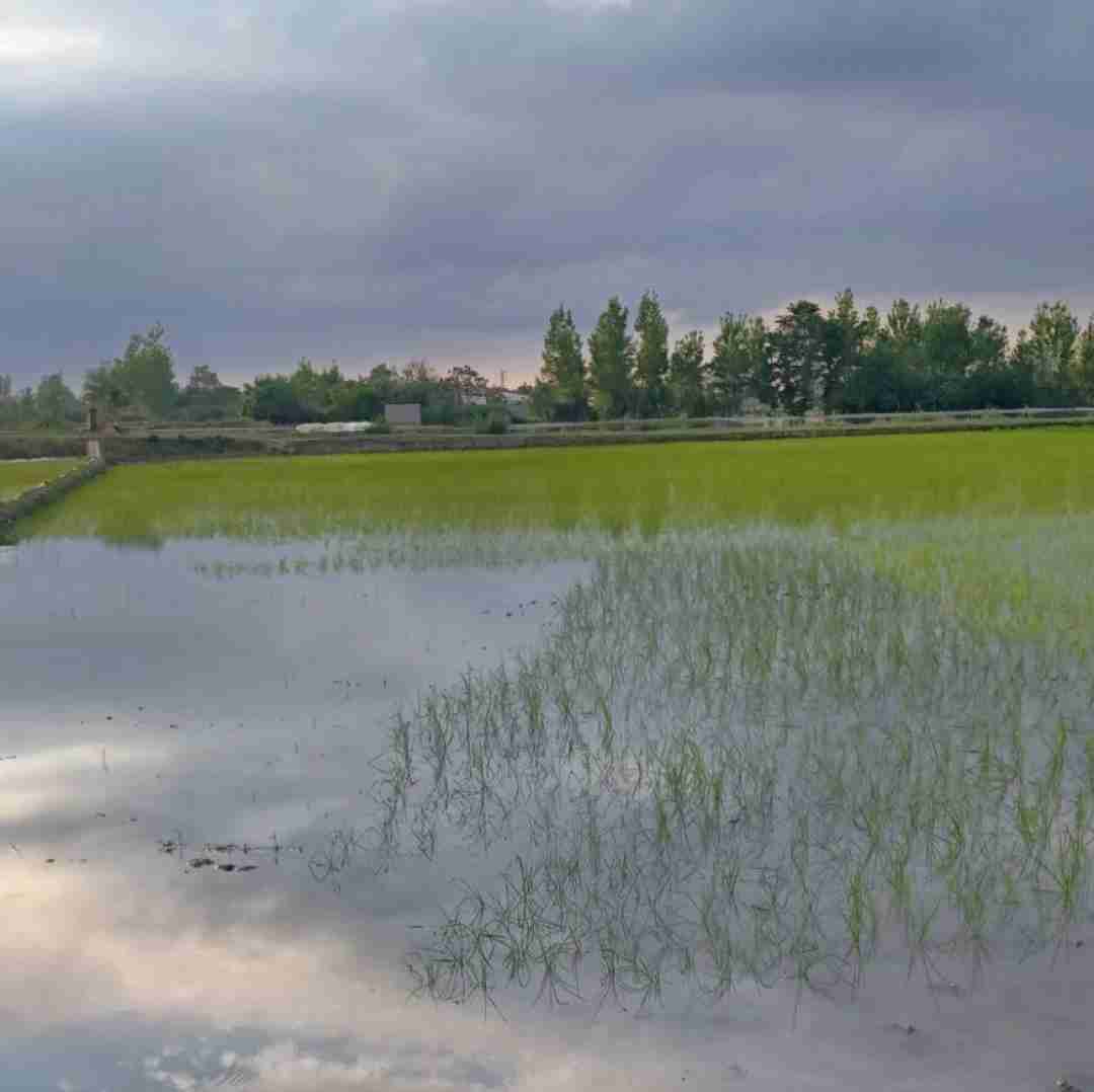  با اکیپم تا رسیدم تو رو راه نمیدن وی آی پی