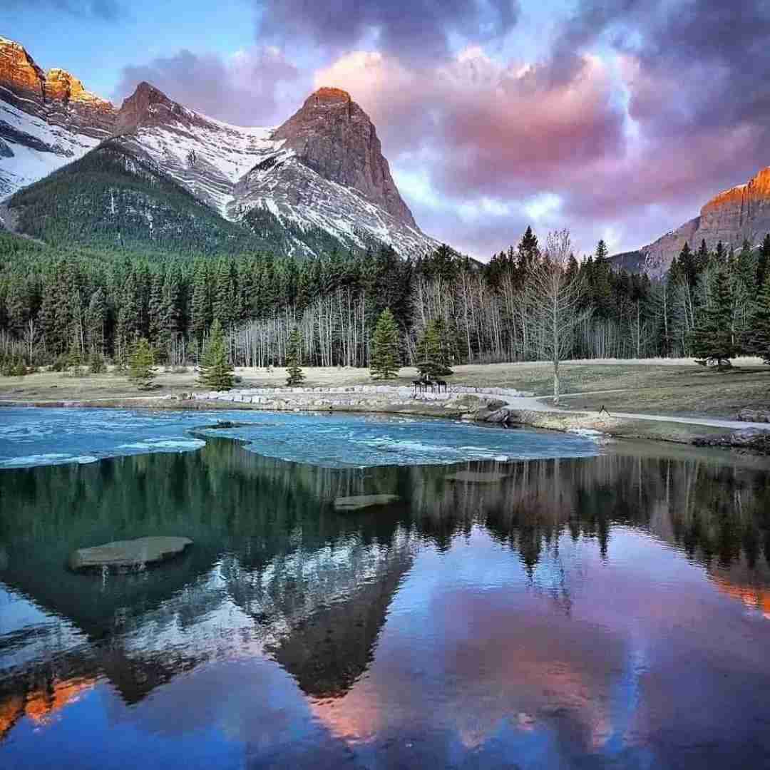  واسه داف چهارتایی میایم میگی با آرتا ایناییم