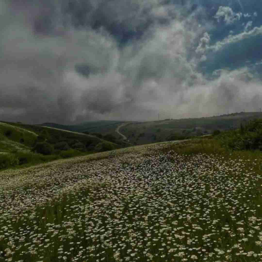  راه میرم متر به متر تویه خونه مودی بودن مودمونه