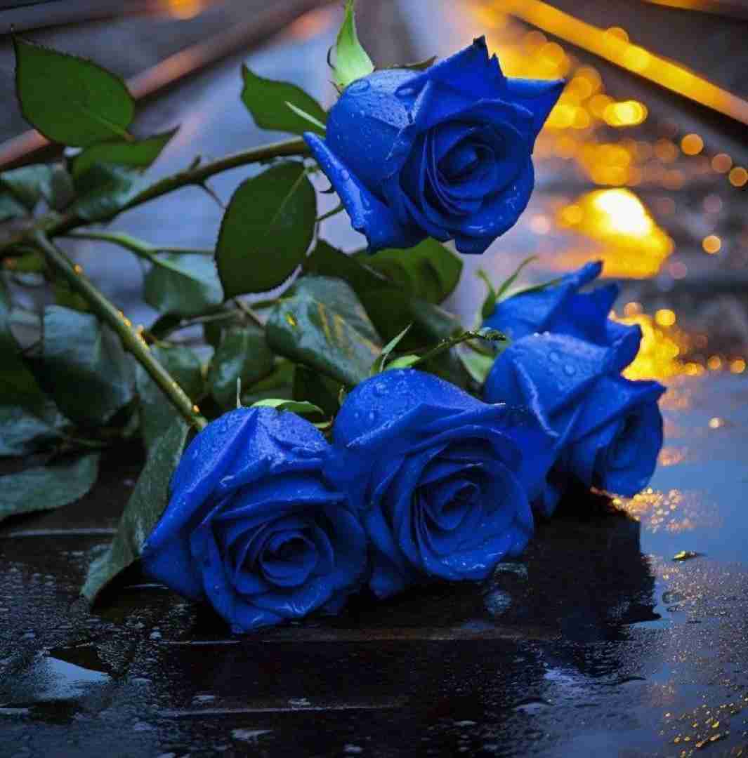  چرا نمیمیری میگن خوبا زود میرن