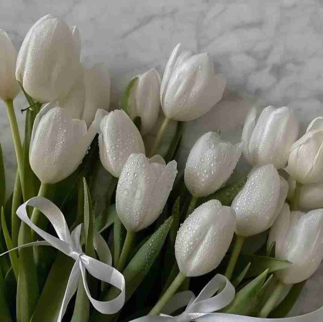  یعنی واست شهرو کلاب میکنم جونم