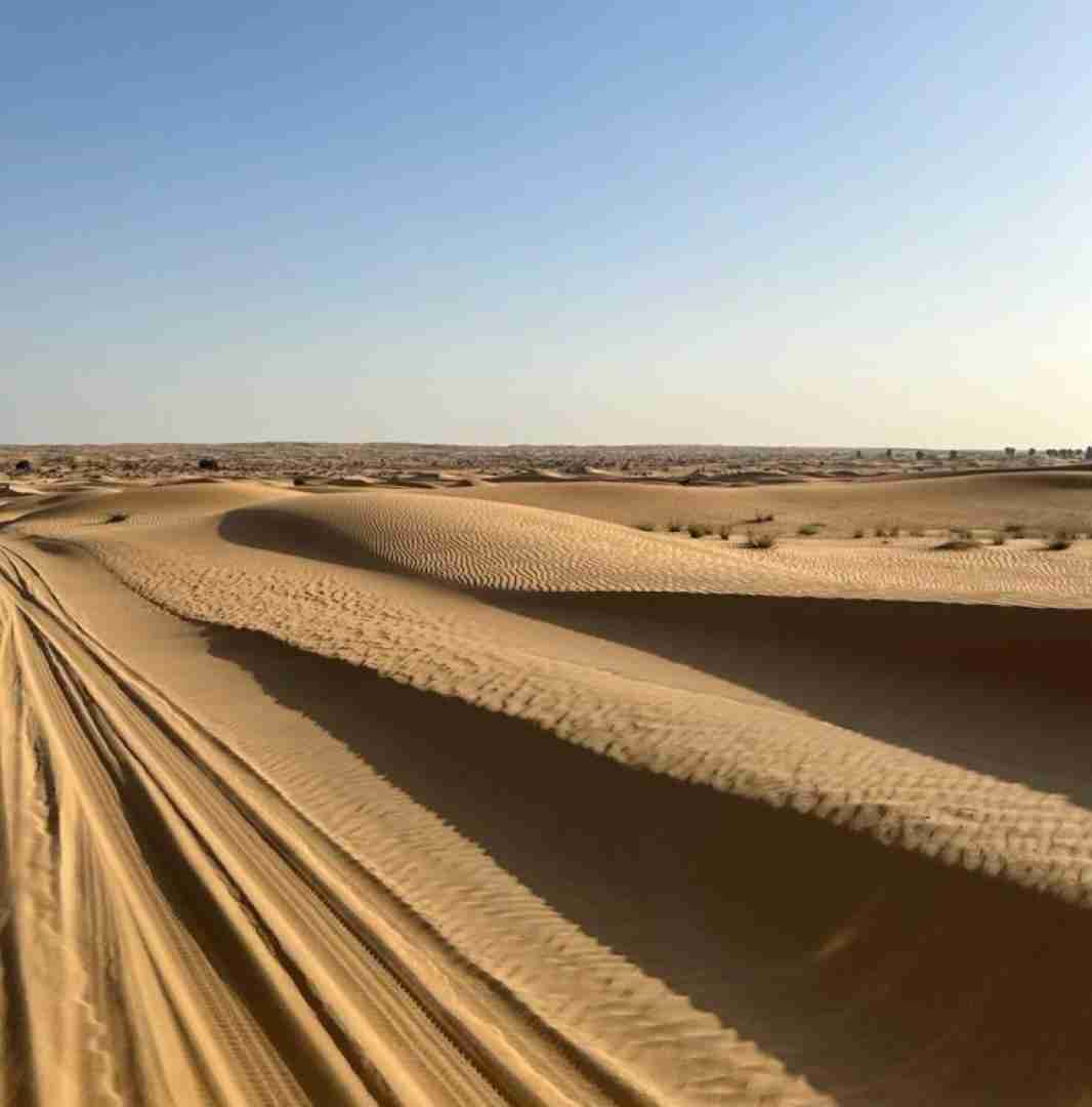  حالش نی برم تو کلو خوبمو دسته گل خونمو