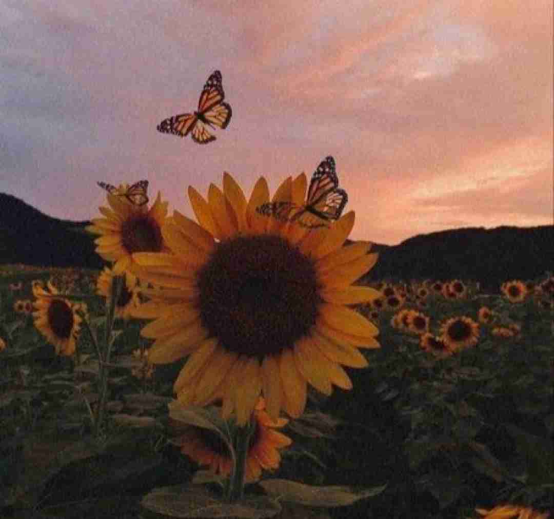  منو تو بودیم کارمای هم با صدای پسر
