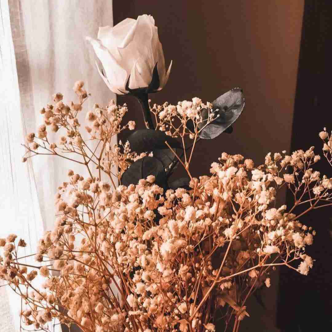  یعنی نفس بی تو به من حرومه لعنتی
