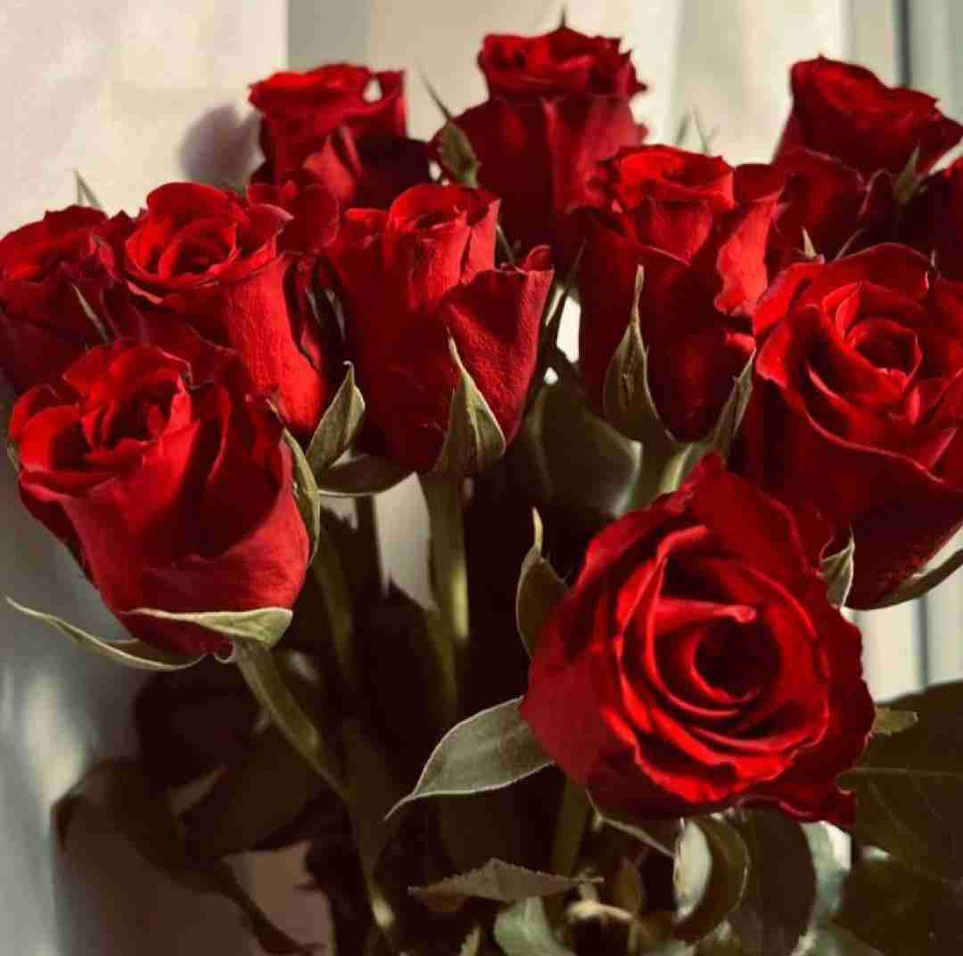 ای شاخه ی پر گل قشنگم چرا تو رو میبینم سرخ میشه رنگم