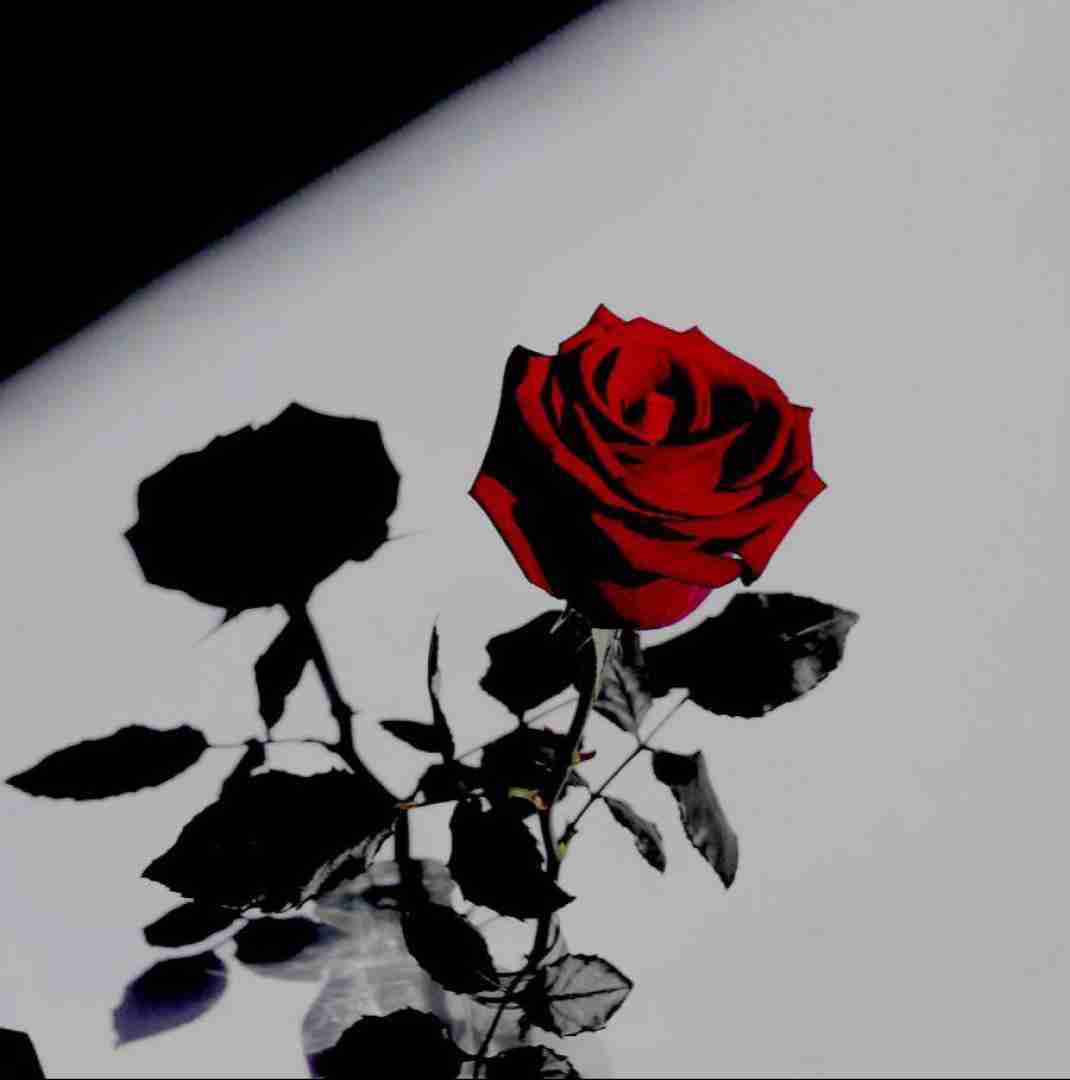  عاشق شدنم قصه ی دیوانه شدن بود با صدای پسر