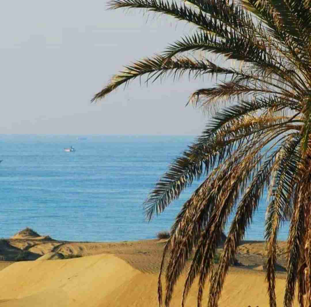  مگه چی داره آخه من ندارم قربونت برم