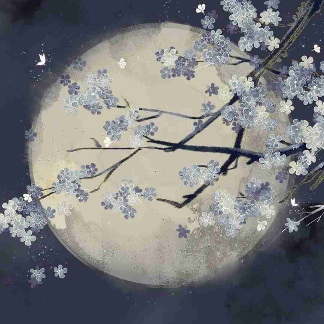  کل شب و با ما بیداره تازه شورشو در بیاریم