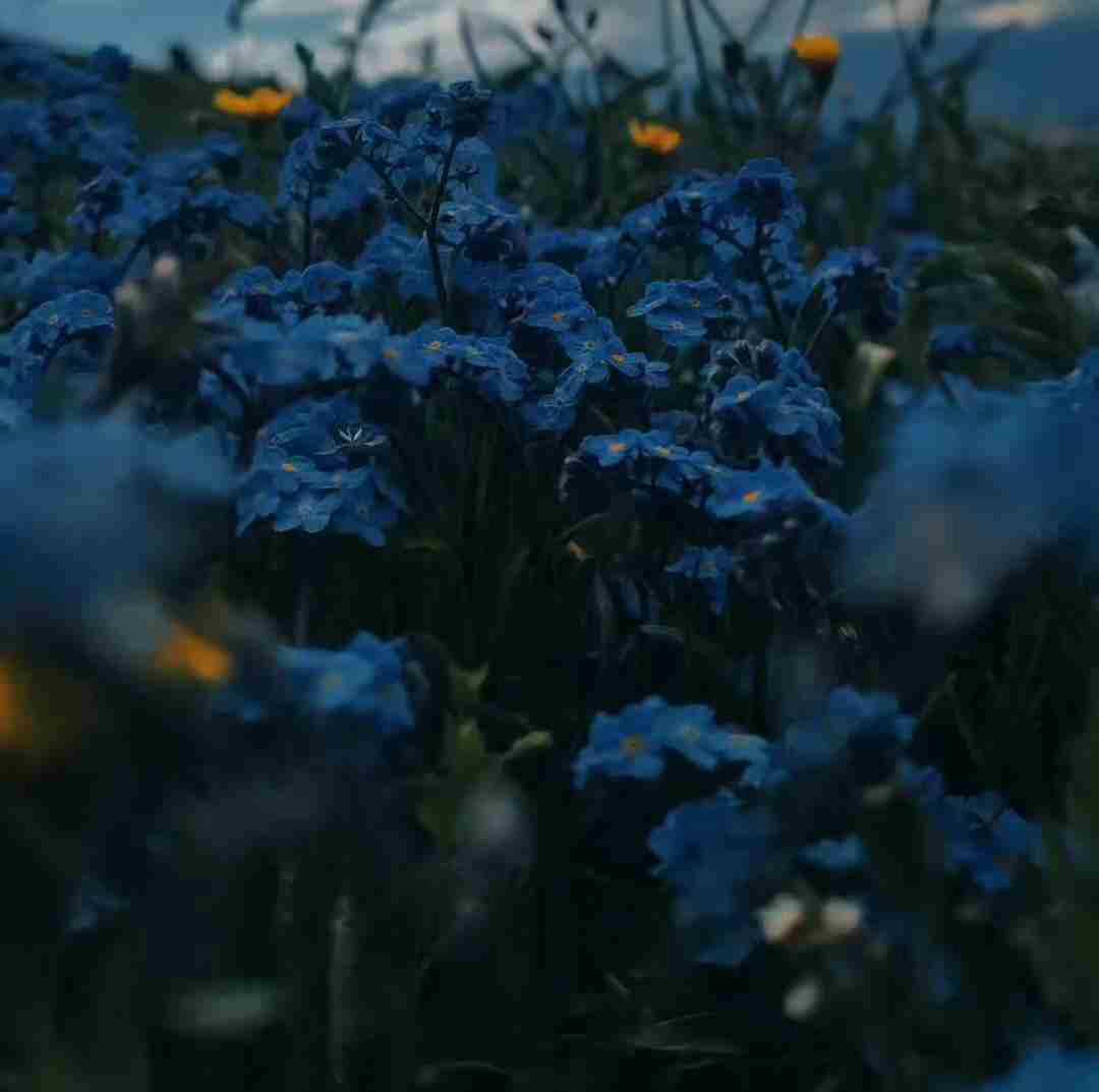  ترکی ننه ننه ننه ننه اینستایی