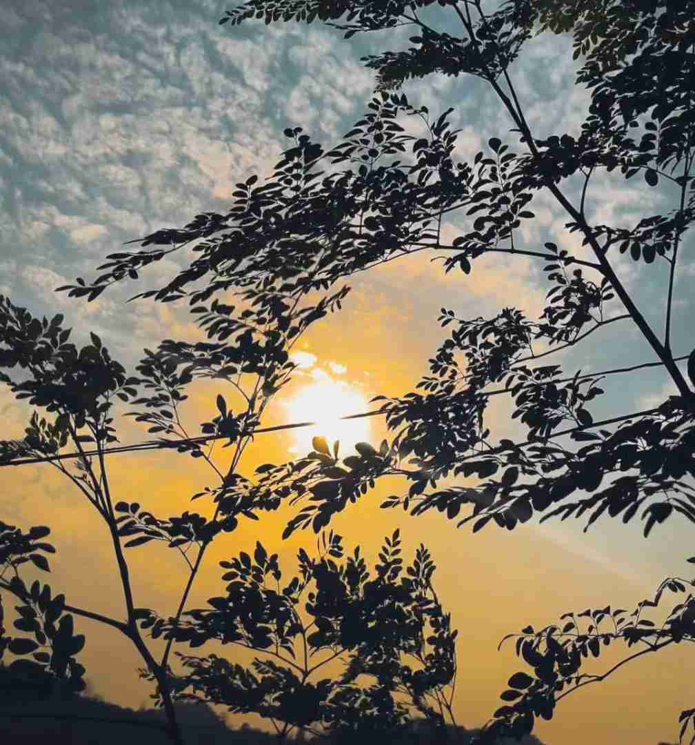  یارم یارم یارم محلی دوست دارم بیس دار اینستایی