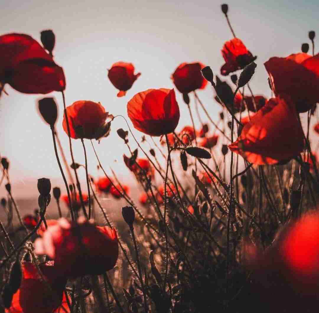  دختر بد فقط دعوا همش بحث همش اشکا میاد سخته