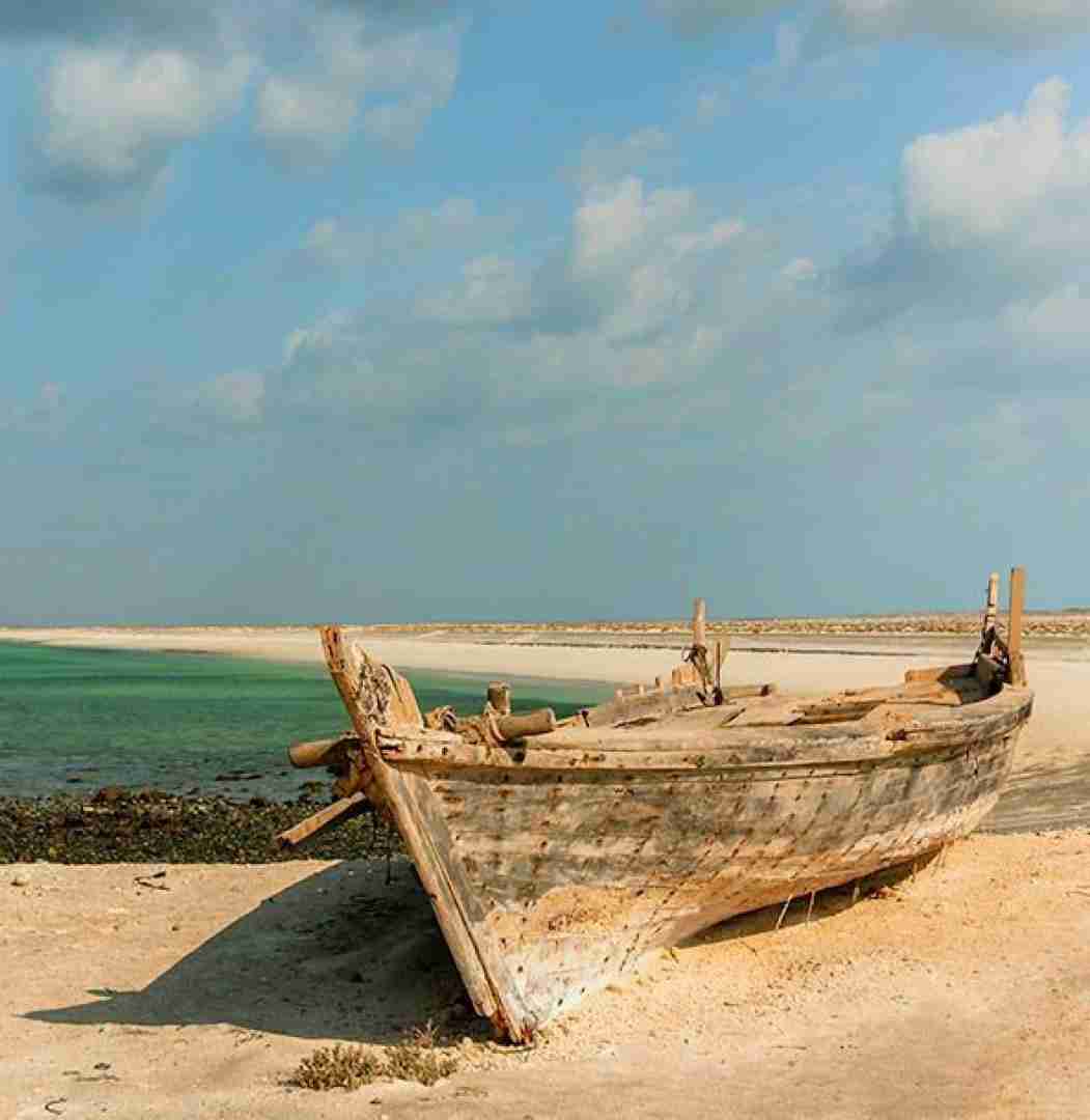  حالا که پیله شدی ول نمیدی