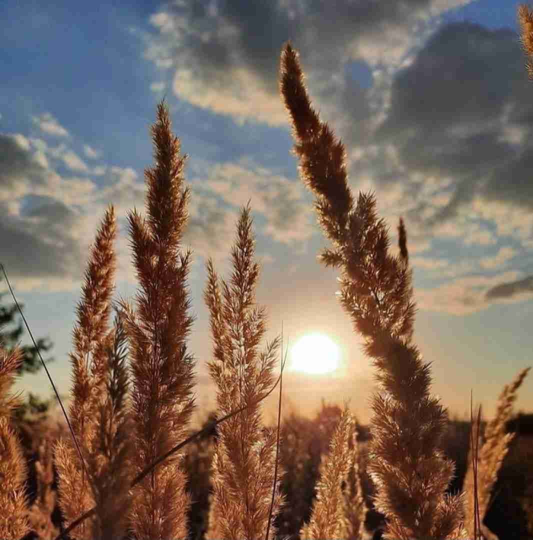  غما زیادن بابا نبودی بابا