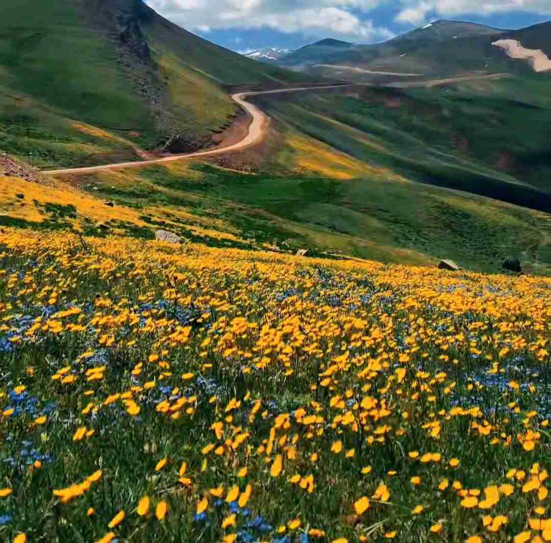  اوکی میکوبیم کوبا اوکی تور اروپا اوکی مهم نی روزا