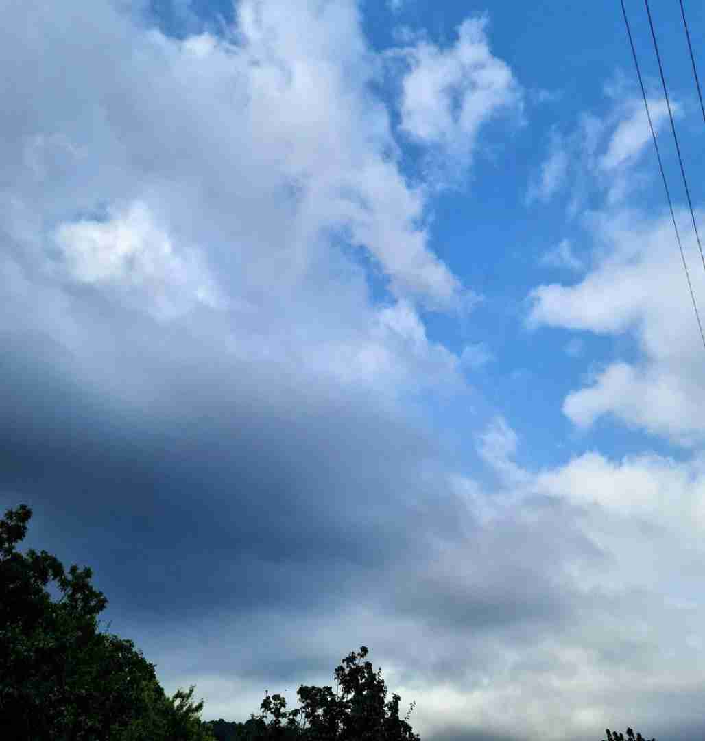  دختر قالیبافم خوب و رنگی میبافم