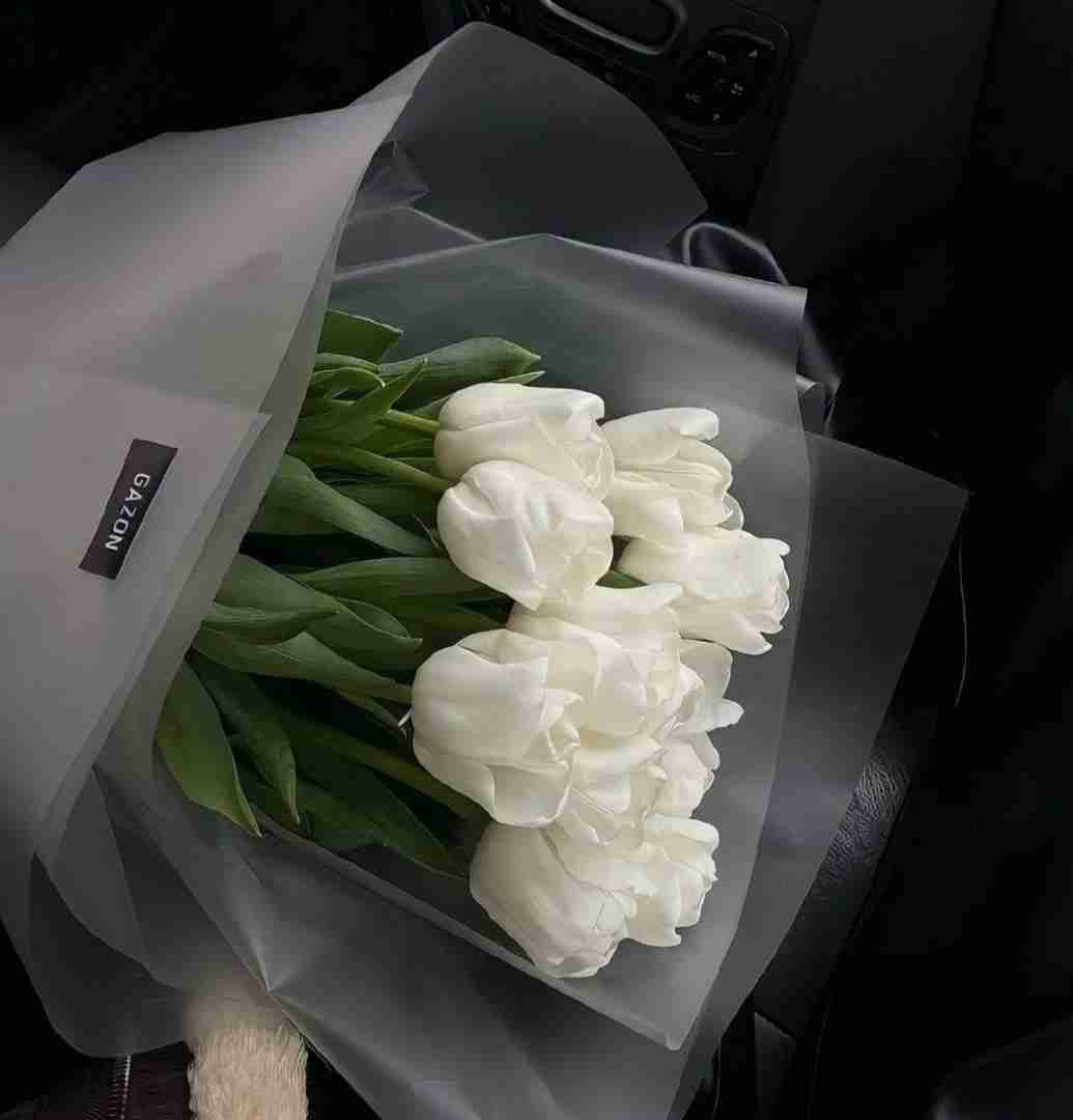  ﺑﻰ تو ﻣﻴﻤﻴﺮم ای داد ﺑﺮی دﻳﻮوﻧﻢ ای وای