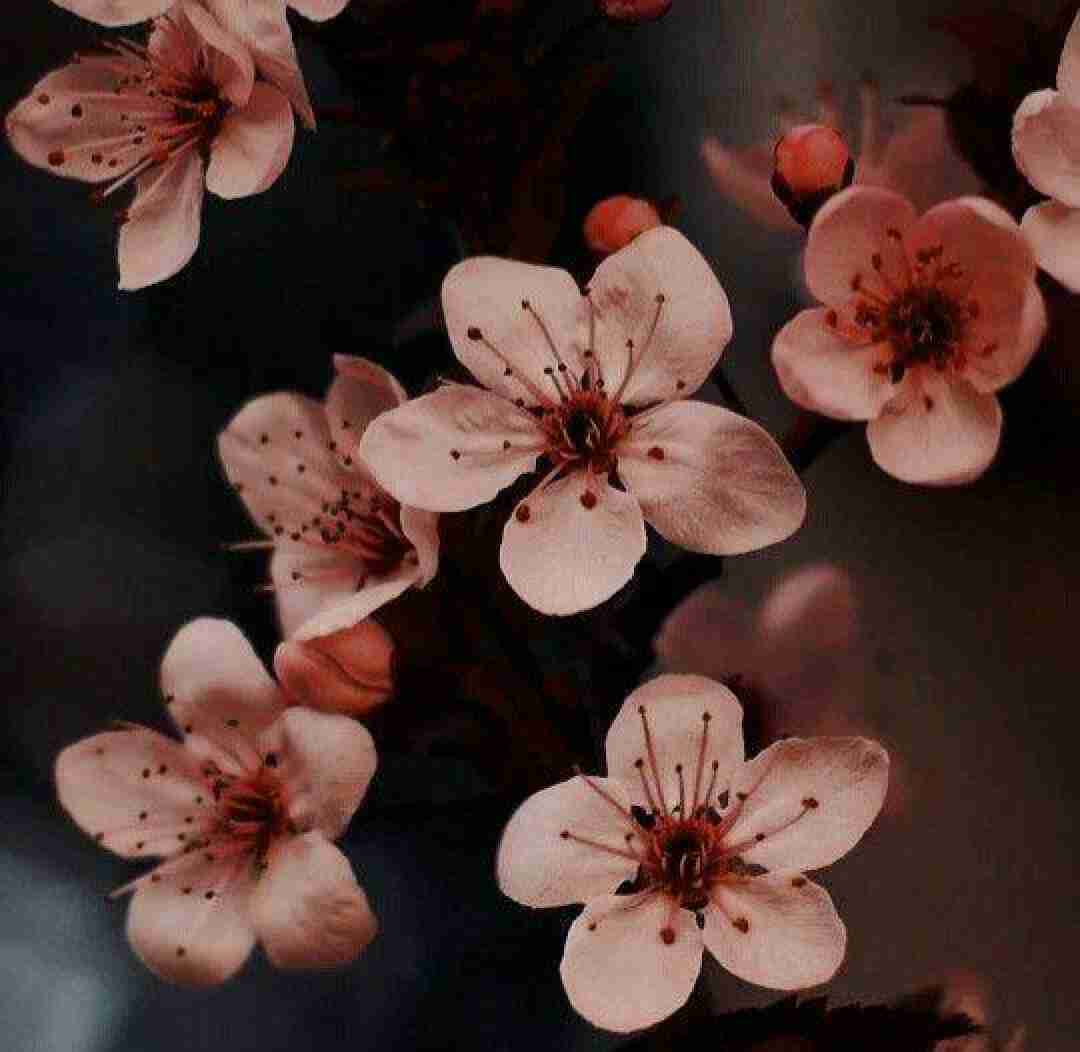  یه نگاهم کن ای دختر دله منه بردی تو صدای بچه