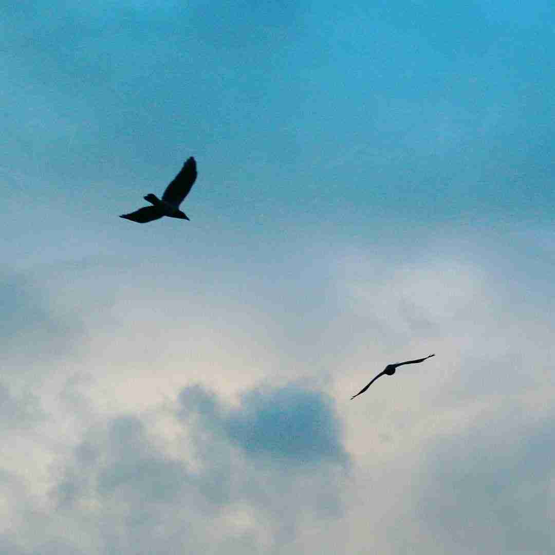  چقدر این صورت عزیزه عزیزه برام با صدای دختر