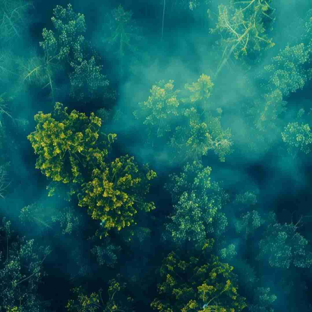  شقایق نبودی به پات جون بذارم تو نازم نبودی با صدای پسر اینستایی