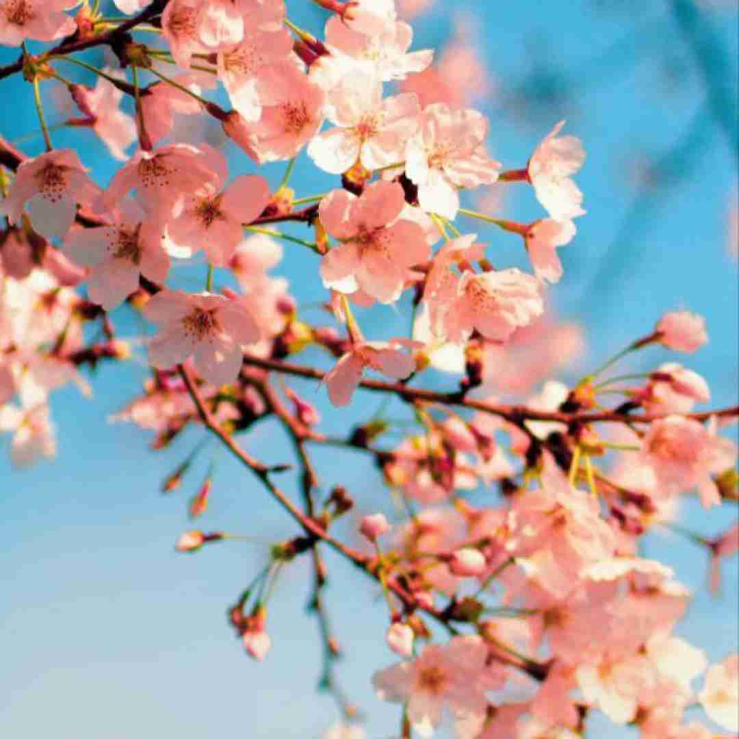  عجیب غریبه نه این زندگیه بی پدر (ترند اینستایی)
