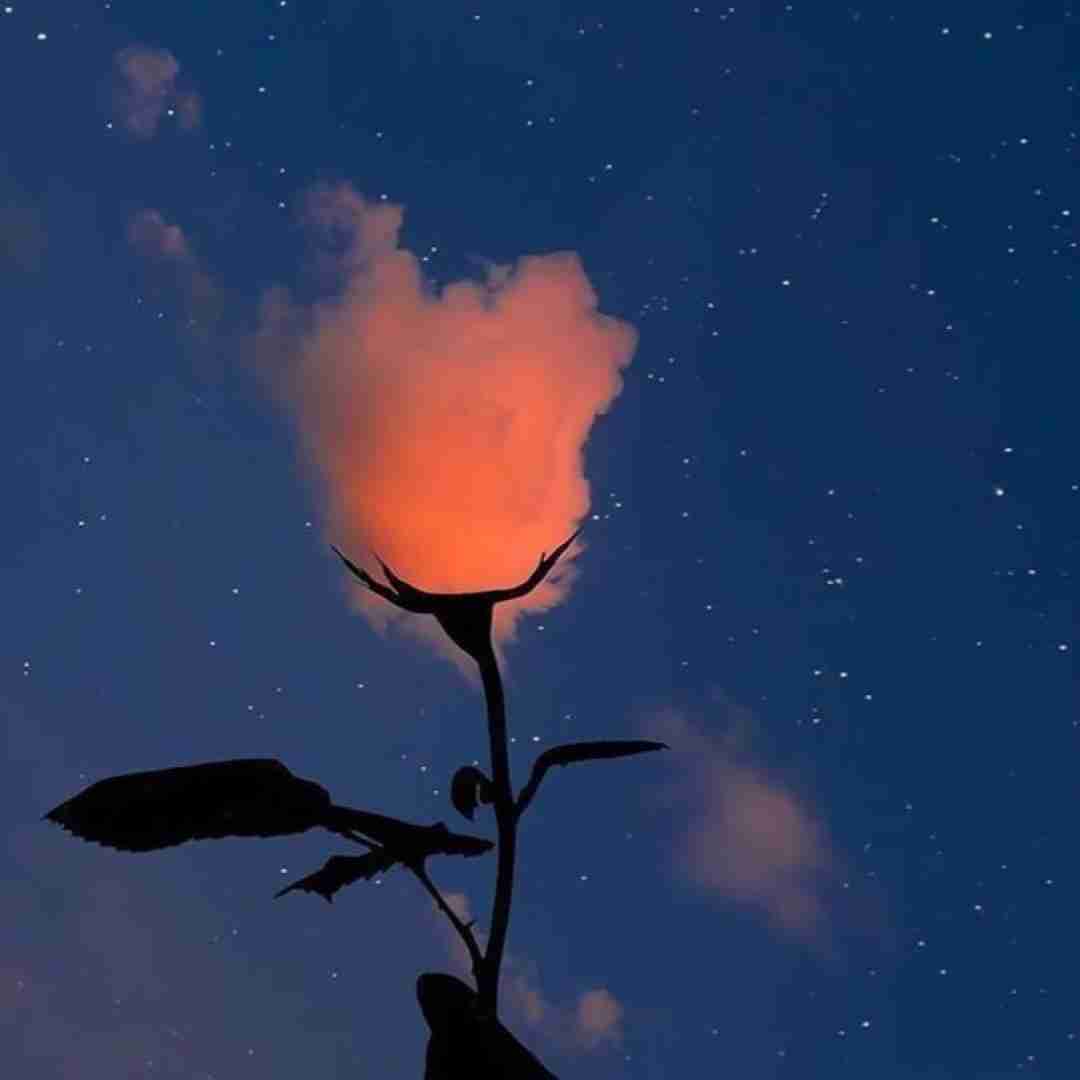   دارم میرم از این شهر یواش یواش توام بذار برو فکر من نباش