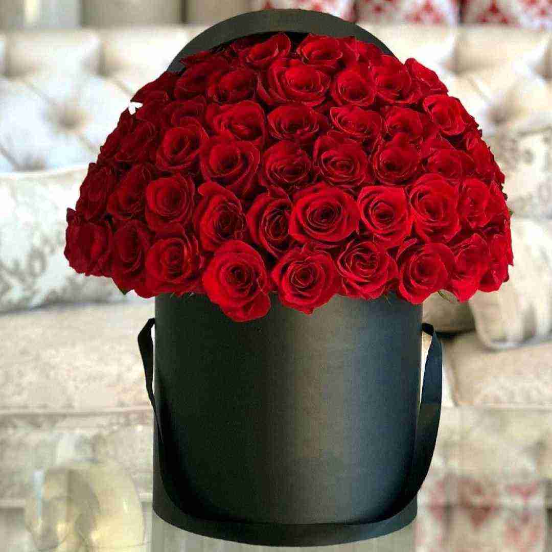  چالش وان تو تیری فور فایو سیکس سون ایت با صدای دختر