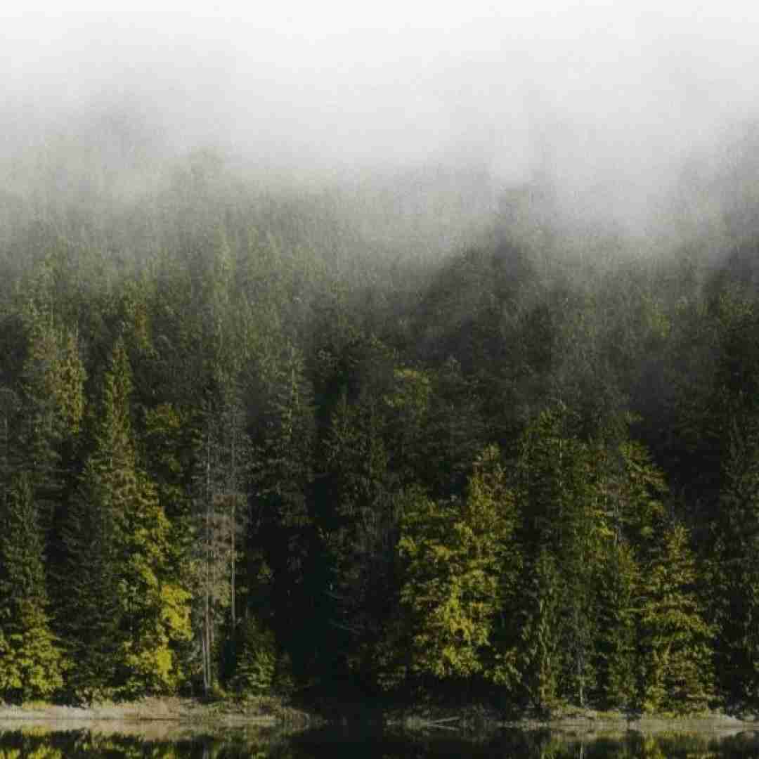  چرا واسه نجات بقیه فرشته باشم (ترند اینستایی)