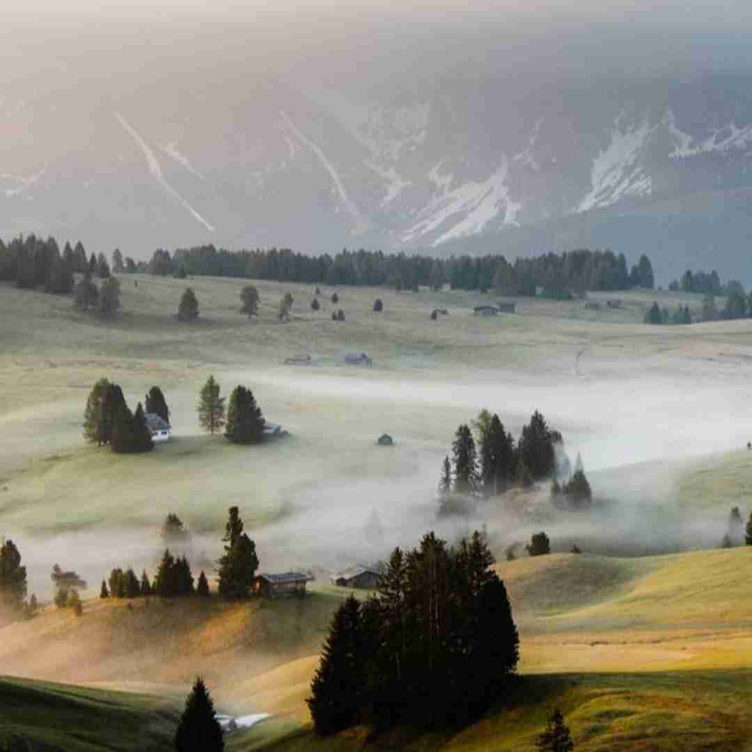  انتظار نیست از کسی وقتی بی حسی توم مرده