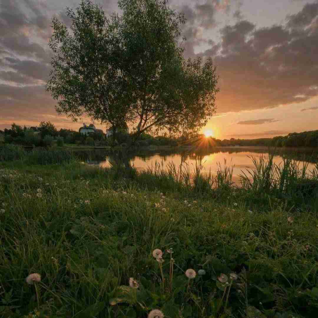  بزار بگم یکم از قدیم حال میداد با تو حتی نون پنیر