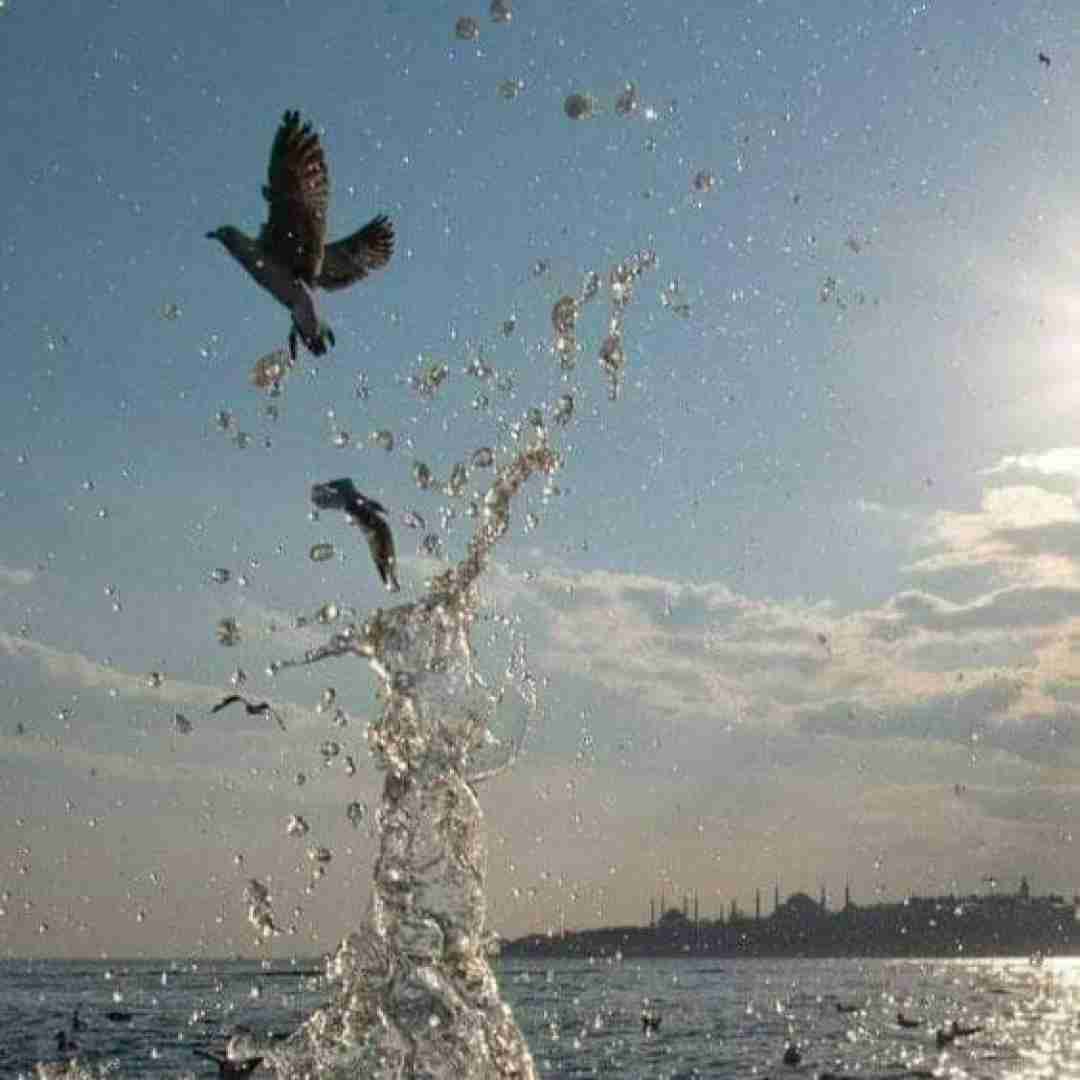  تونستی عاشقم کردی الان ما بهم وصلیم