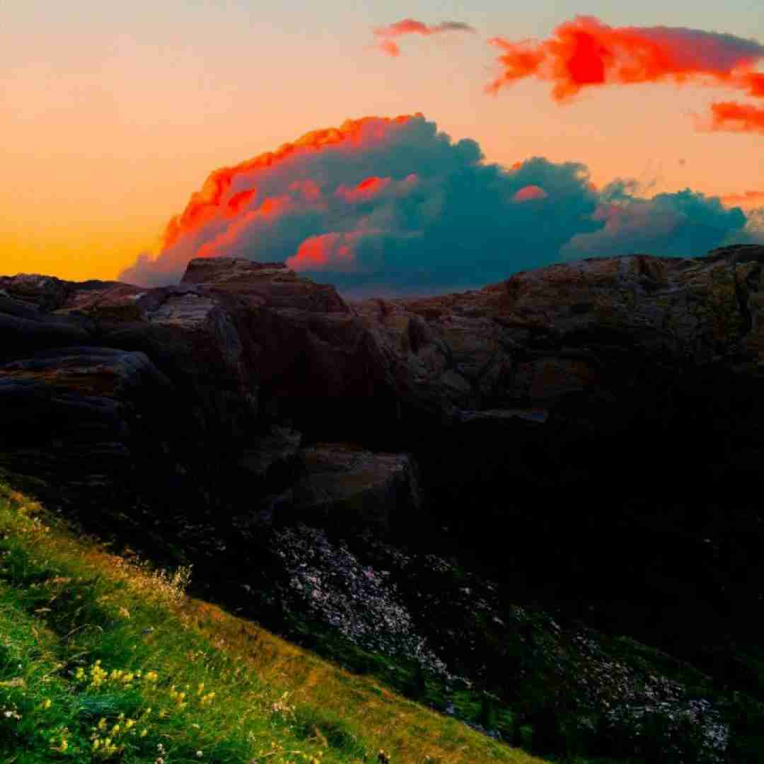  کجا کی کیا بر زدنت کی کدوم شب شد