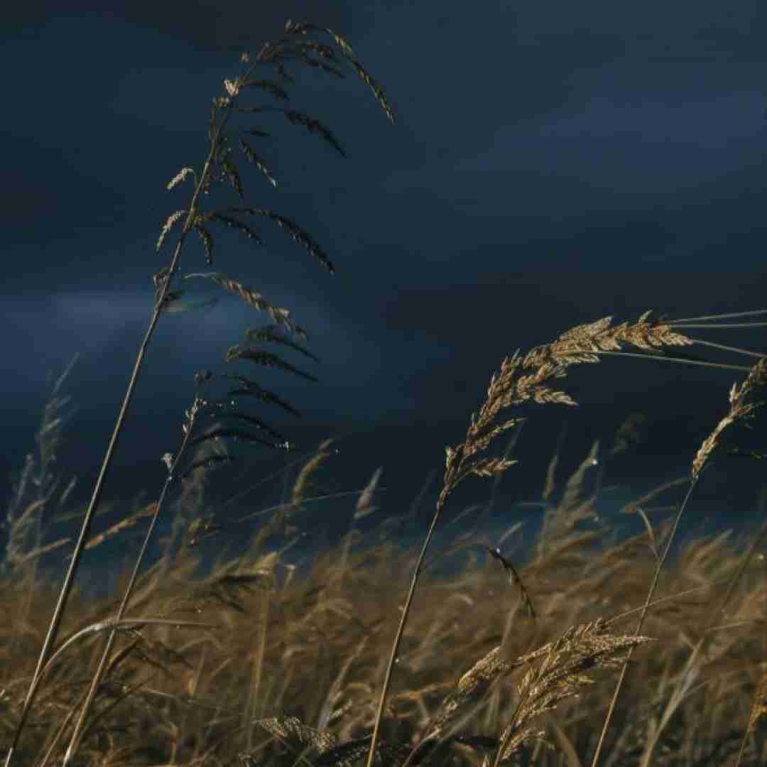  الو تو آب کردم شنا میام روی شنا