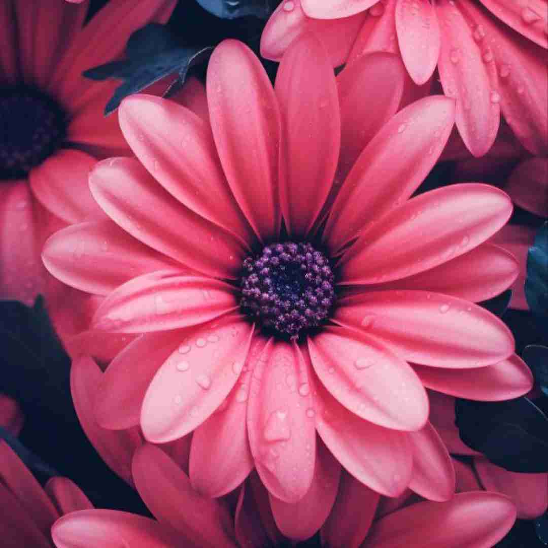  کولر آبی دیگه جواب نمیده میپرسی چرا با صدای پسر